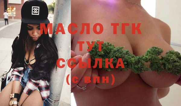твердый Няндома