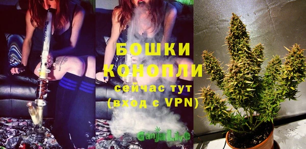 твердый Няндома