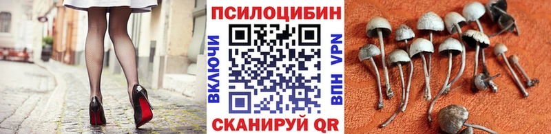 мега ТОР Волоколамск Псилоцибиновые грибы MAGIC MUSHROOMS продажа наркотиков